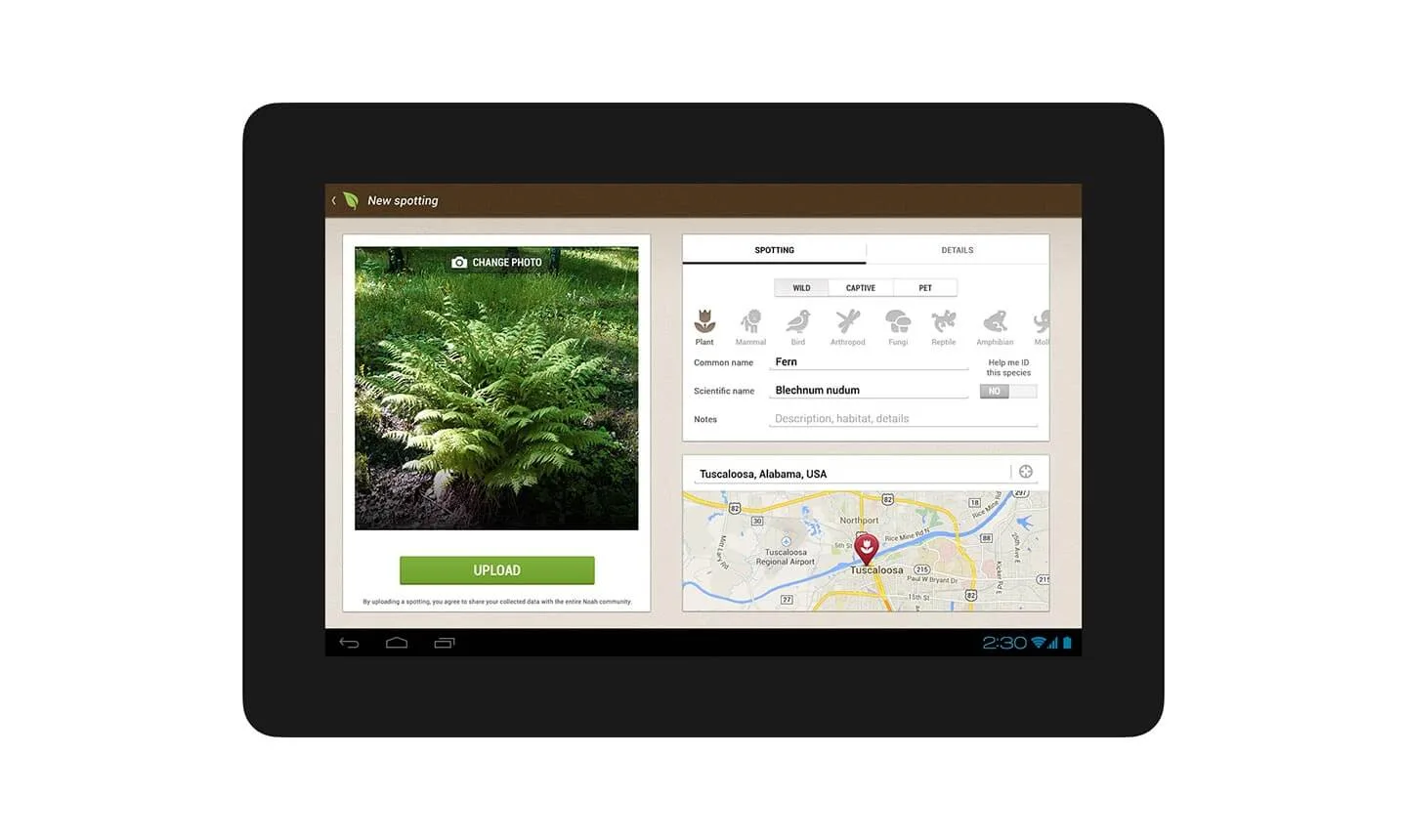 Amplify — product screen 3